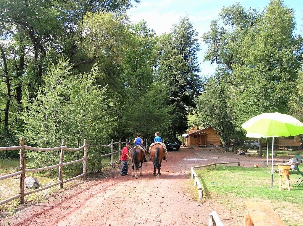 Cabanas Bafemadi Las Trancas Exterior photo
